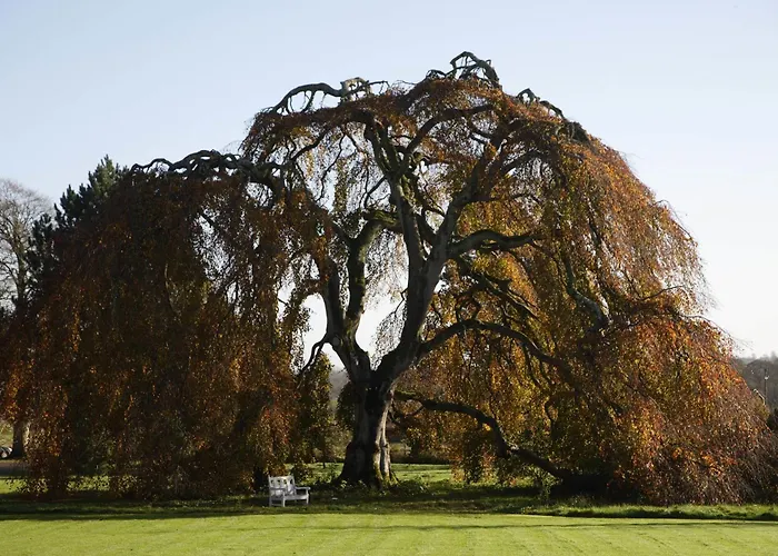 Bellinter House & Navan